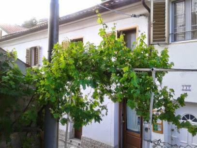 B&B Al Ferdinandeo Trieste Dış mekan fotoğraf